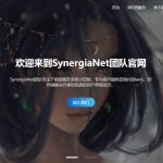 小枫网络SynergiaNet团队官网授权卡密 - 彬红茶博客