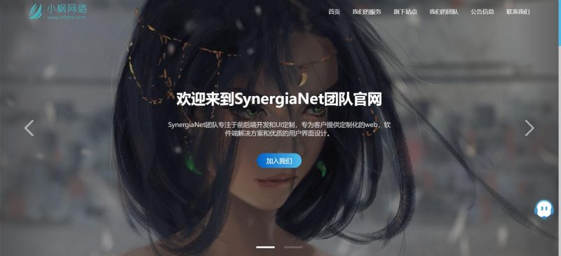 小枫网络SynergiaNet团队官网授权卡密 - 彬红茶博客
