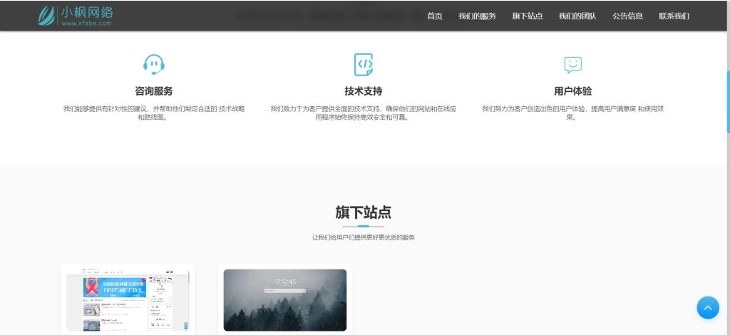 图片[5] - 小枫网络SynergiaNet团队官网授权卡密 - 彬红茶博客