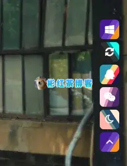 子比主题美化 - Zibll主题侧边悬浮按钮样式 - 彬红茶博客